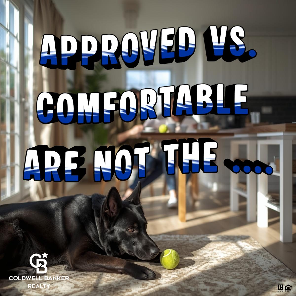 Black dog lying on a rug with a tennis ball in a bright living room while homeowners sit at a table in the background, with text reading “Approved vs. Comfortable Are Not the Same.”