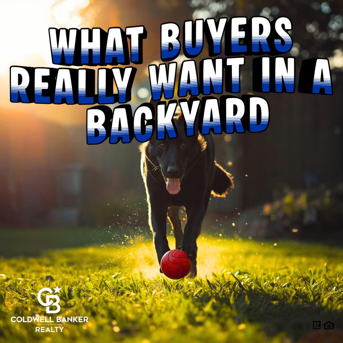 Dog running across a sunlit backyard with a red ball, representing what buyers want in a backyard, including space for pets, play, and outdoor living.