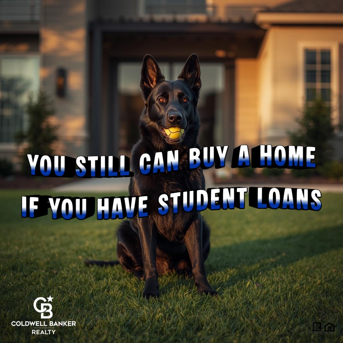 All-black German Shepherd sitting confidently in front of a suburban home, symbolizing stability, confidence, and smart homeownership decisions