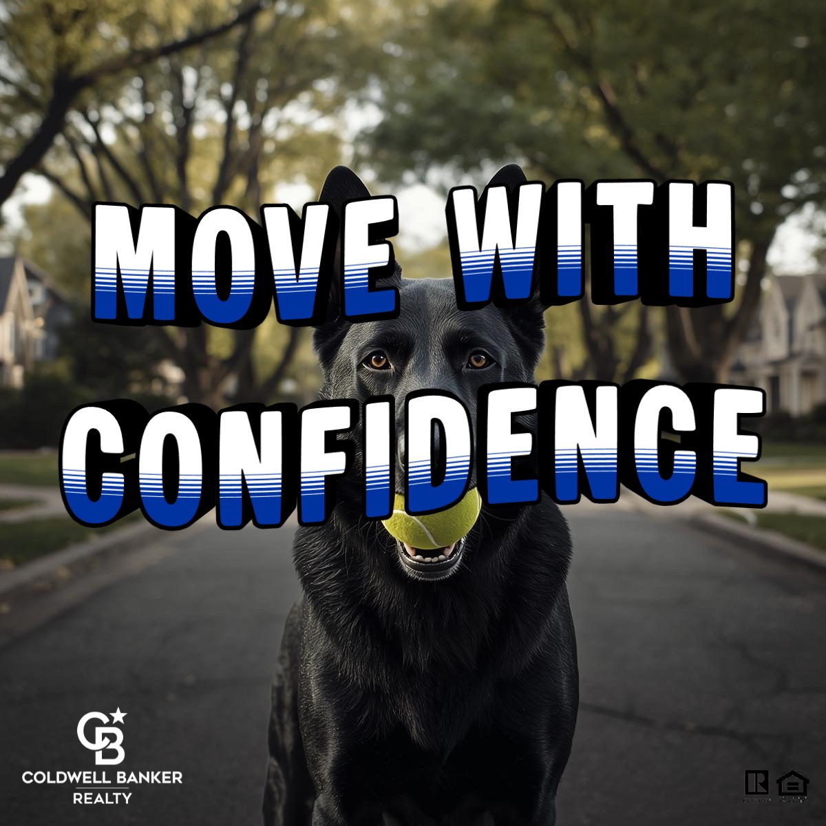 All-black German Shepherd standing confidently in an East Side Cincinnati neighborhood holding a tennis ball, symbolizing smart home buying decisions and financial confidence.