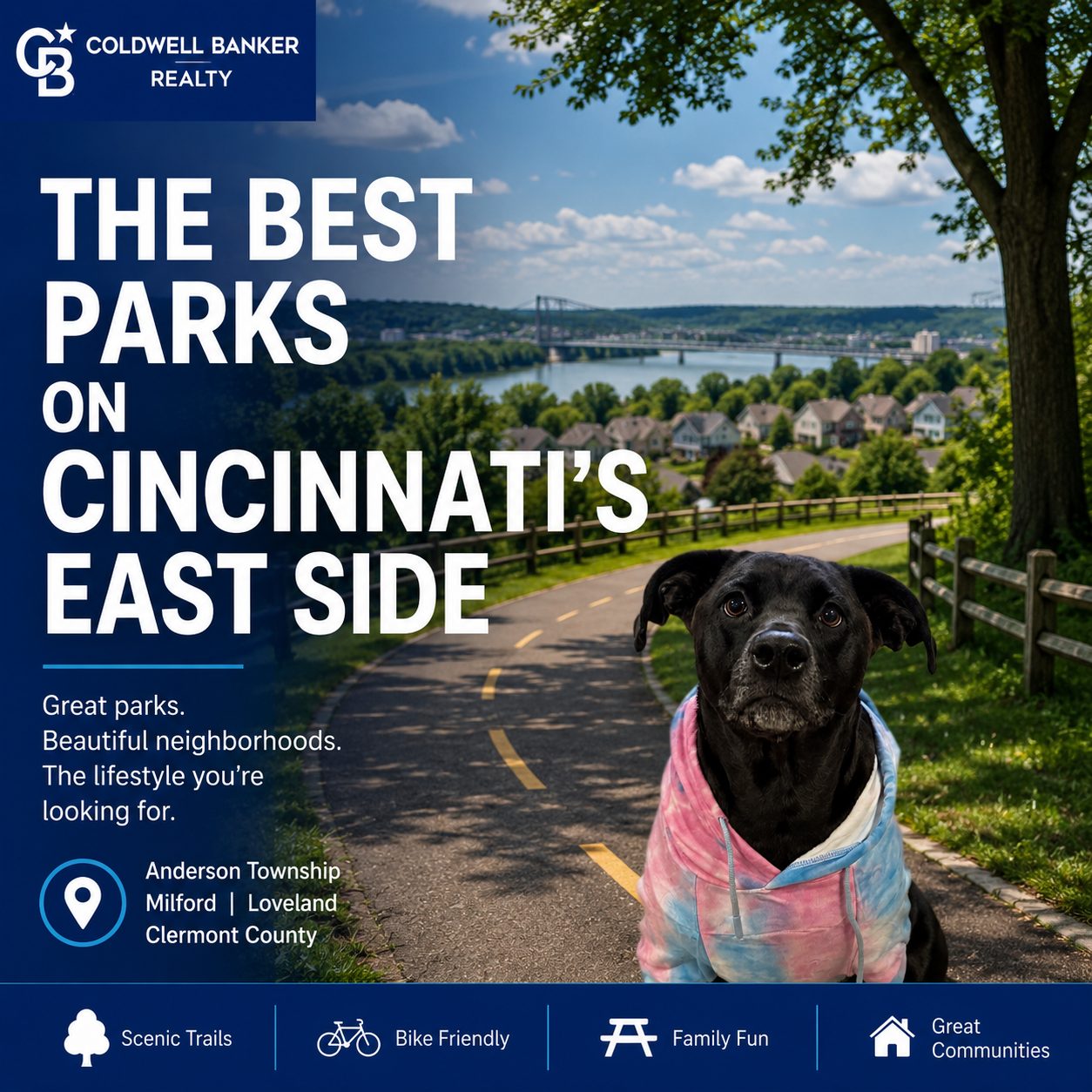 Quiet wooded park path with a bench, representing hidden gem parks on Cincinnati's East Side